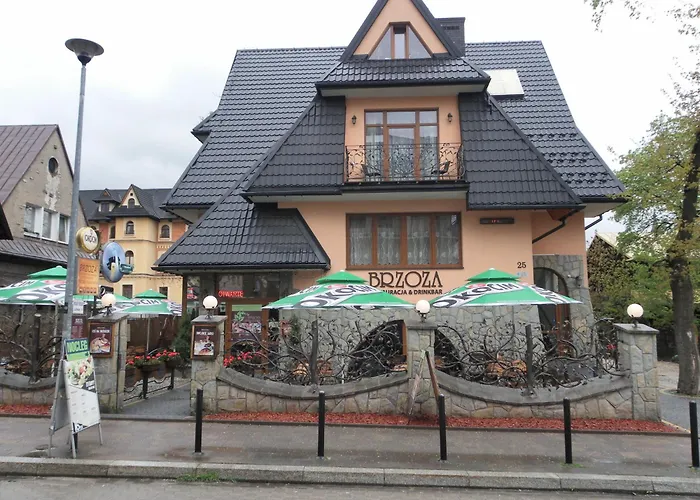 Brzoza w centrum Zakopanego